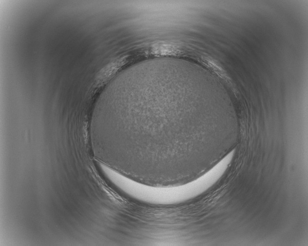 X0000056000401200509162323