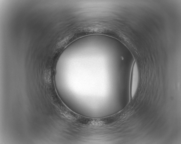 X0000056000403200509162323