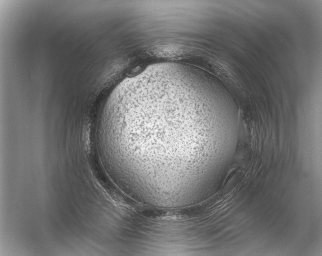 X0000056000404200509162323