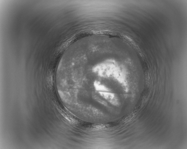 X0000056000405200509162323