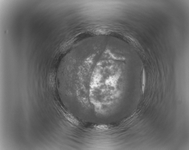 X0000056000409200509162323