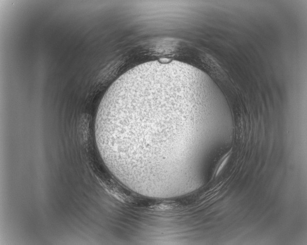 X0000056000412200509162323