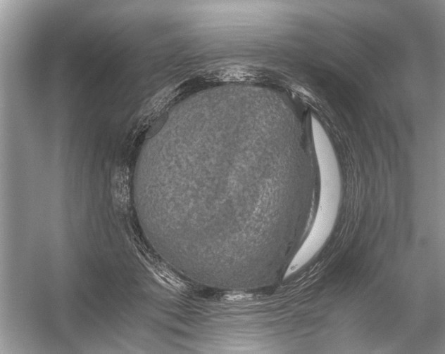 X0000056000413200509162323