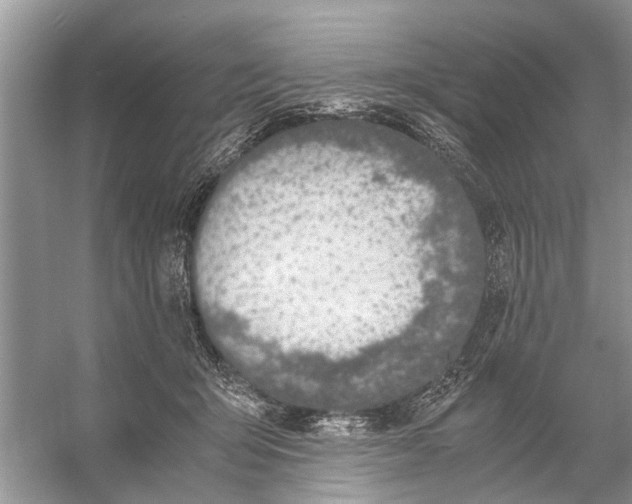 X0000056000415200509162323