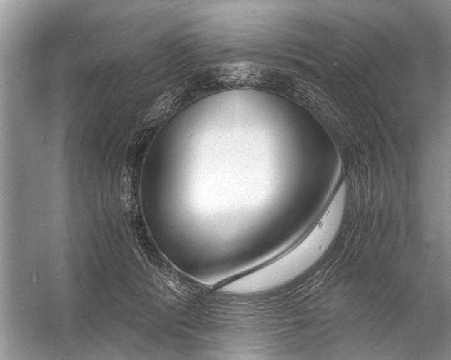 X0000056000416200509162323