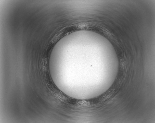 X0000056000421200509162323