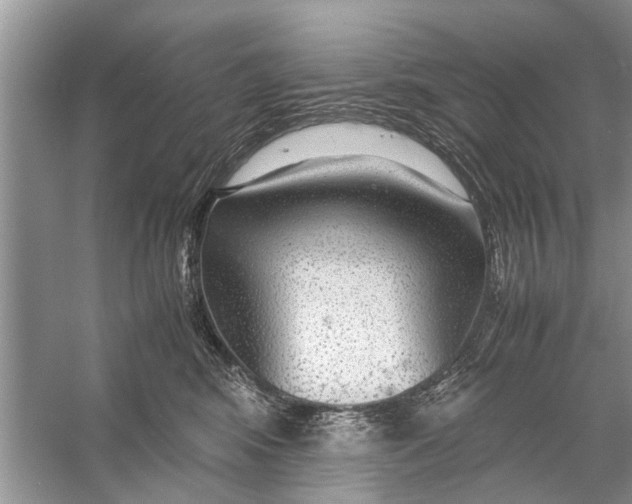 X0000056000424200509162323