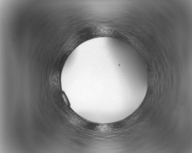 X0000056000425200509162323