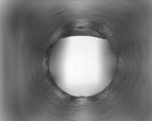 X0000056000428200509162323