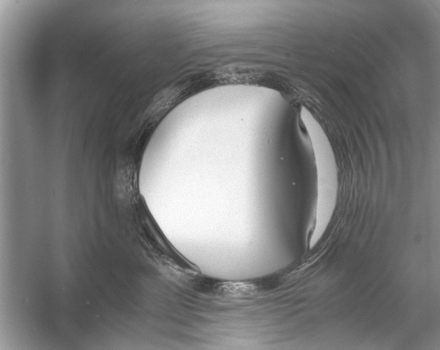 X0000056000429200509162323