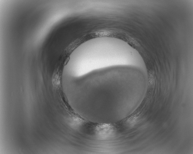 X0000056000431200509162323