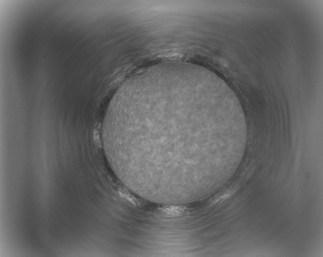 X0000056000432200509162323