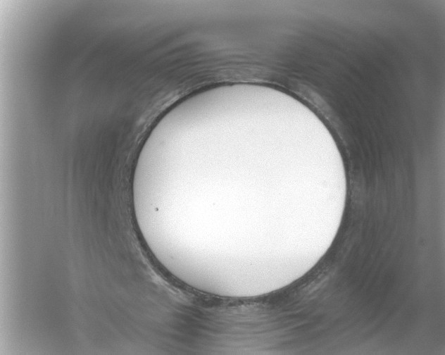 X0000056000433200509162322