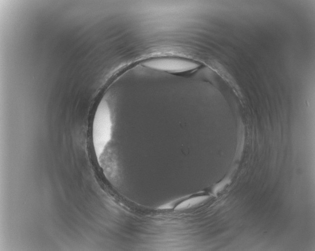 X0000056000434200509162322