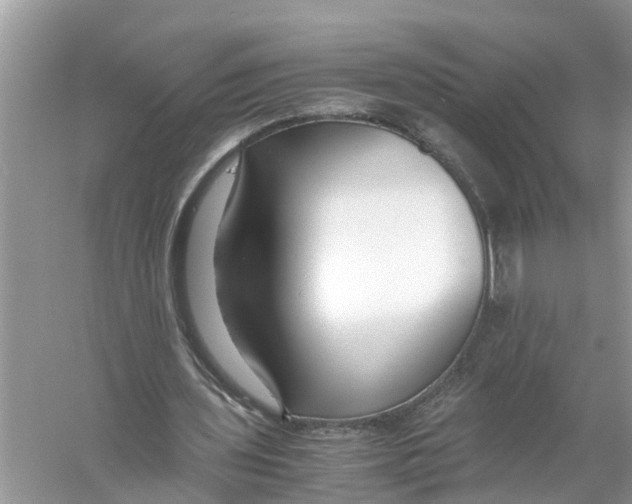 X0000056000435200509162322