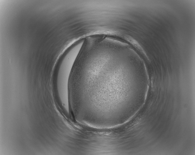 X0000056000436200509162322