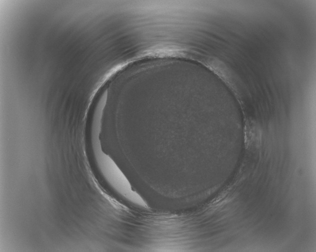 X0000056000438200509162322