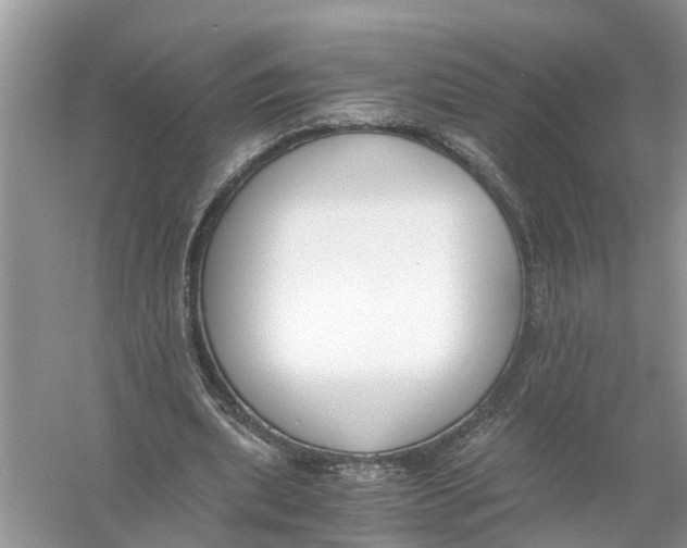 X0000056000439200509162322