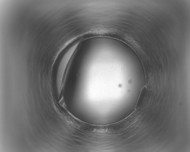 X0000056000440200509162322