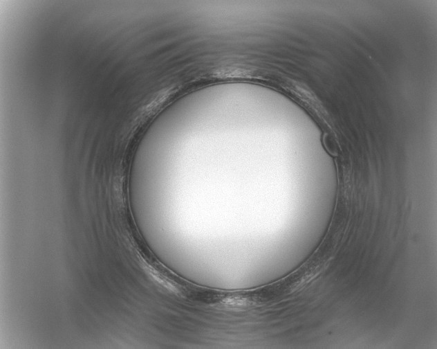 X0000056000441200509162322