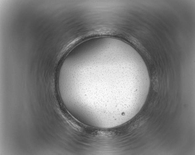 X0000056000442200509162322