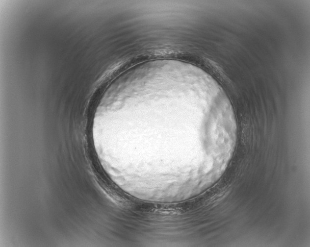 X0000056000443200509162322