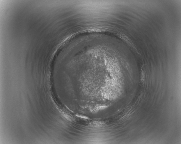 X0000056000444200509162322