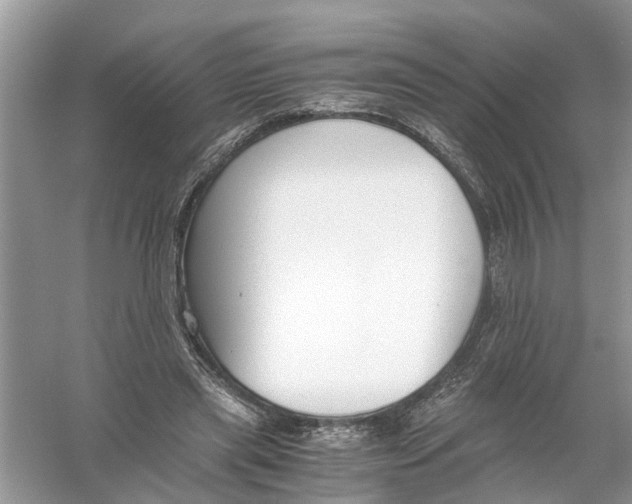 X0000056000445200509162322