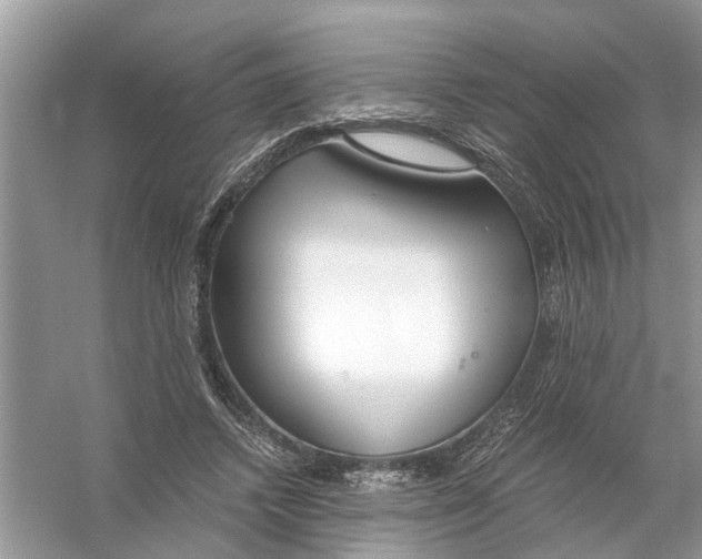 X0000056000448200509162322