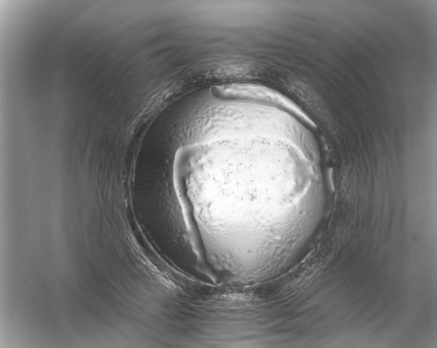 X0000056000449200509162322