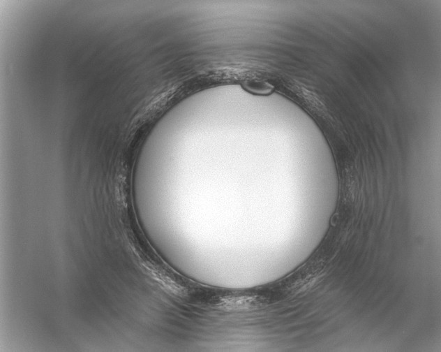 X0000056000450200509162322