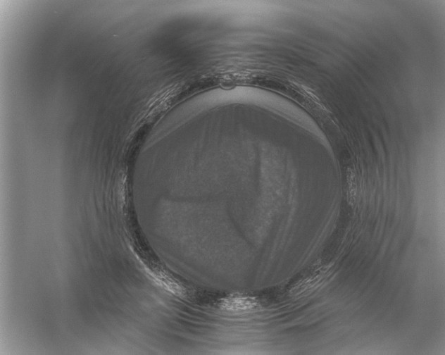 X0000056000451200509162322