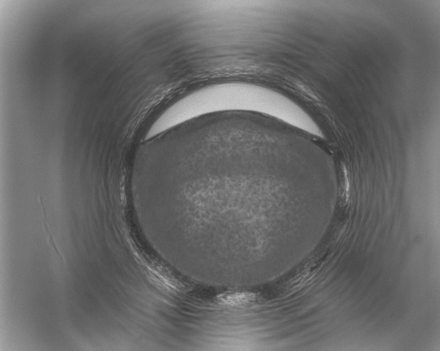 X0000056000452200509162322