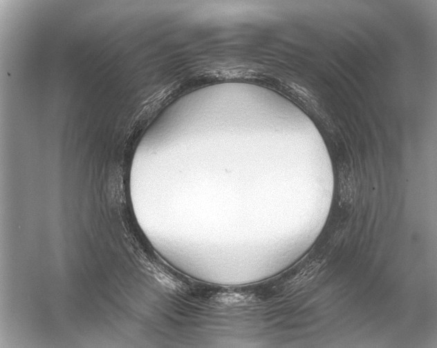 X0000056000453200509162322