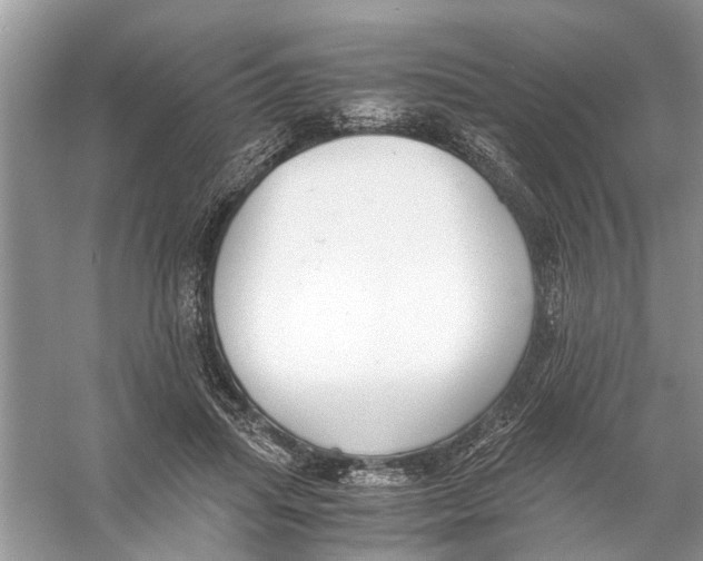 X0000056000455200509162322