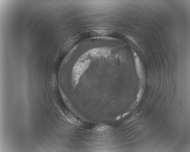 X0000056000459200509162322