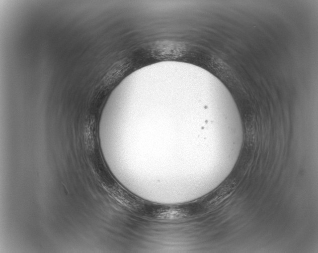 X0000056000460200509162322