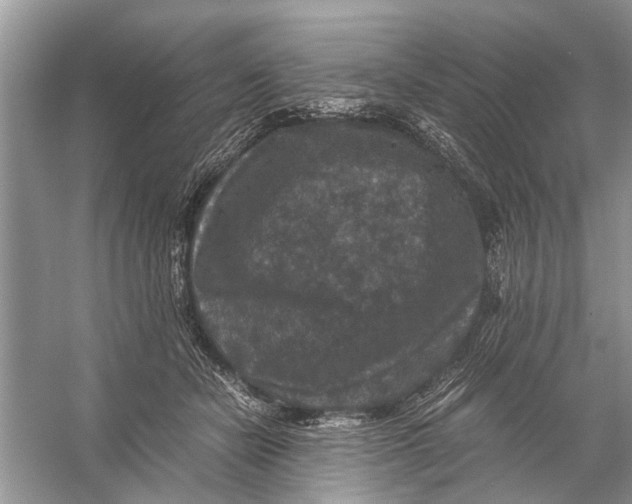 X0000056000462200509162322