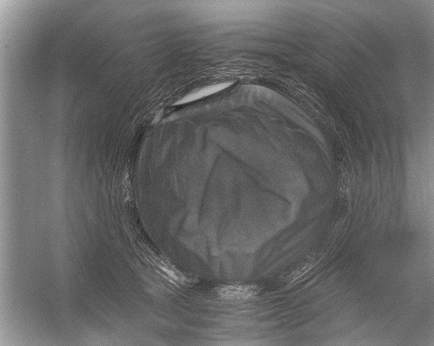 X0000056000465200509162322