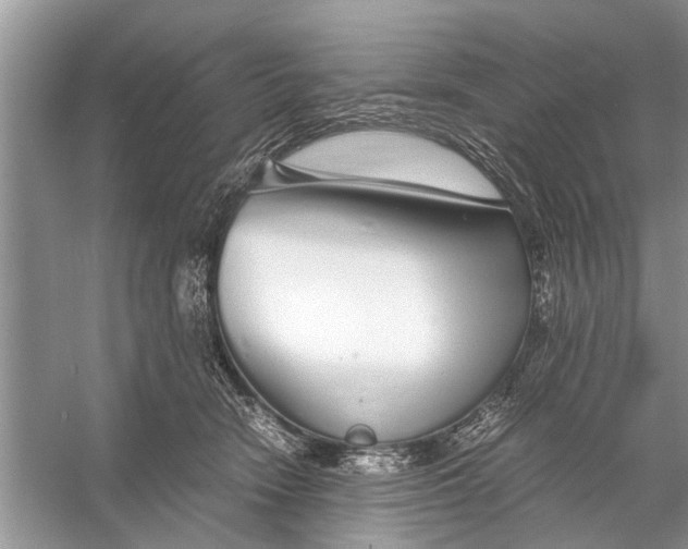 X0000056000466200509162322