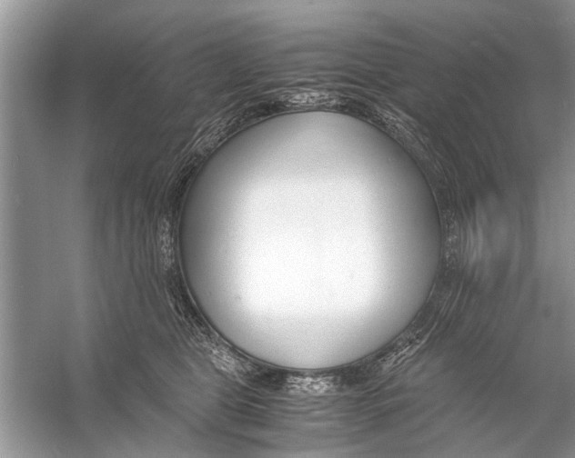 X0000056000469200509162322