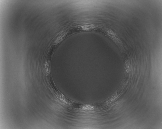 X0000056000471200509162322