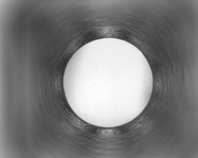 X0000056000473200509162322