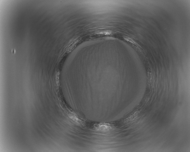 X0000056000475200509162322