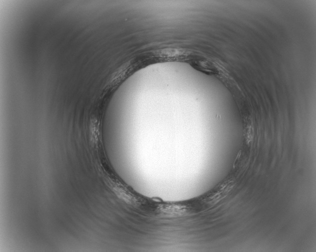 X0000056000476200509162322