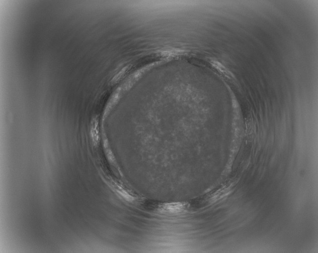 X0000056000479200509162322