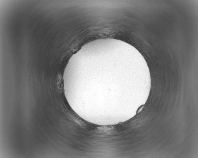 X0000056000480200509162322