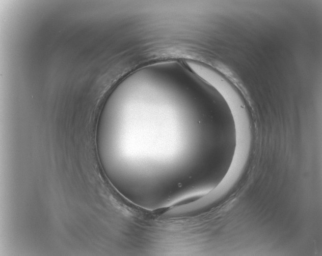 X0000056000481200509162322