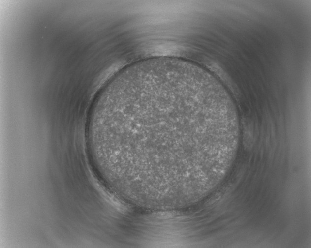 X0000056000482200509162322