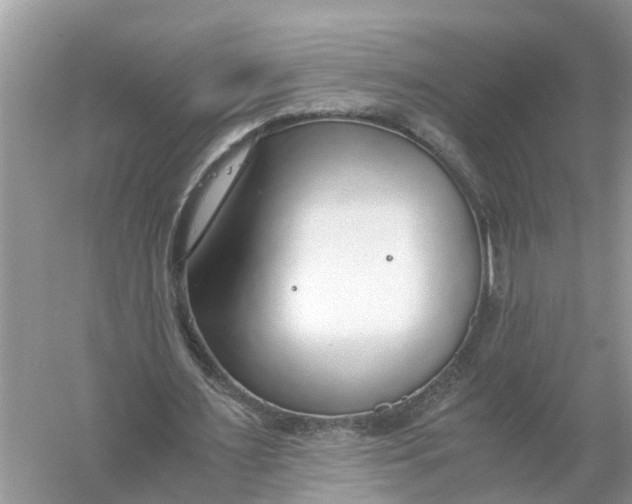 X0000056000483200509162322